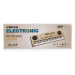 BIGFUN Electronic Keyboard BF-830D, 61 Keys, Double Speakers, DC 5V Power